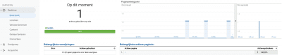 Google analytics realtime overzicht