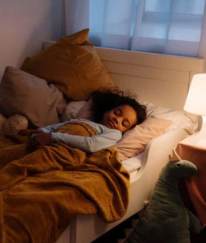 banner Sonnemans succesverhaal